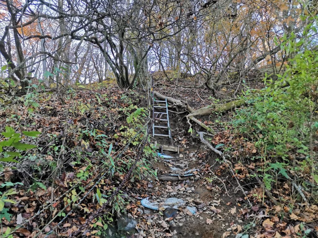 登山道 ハシゴ