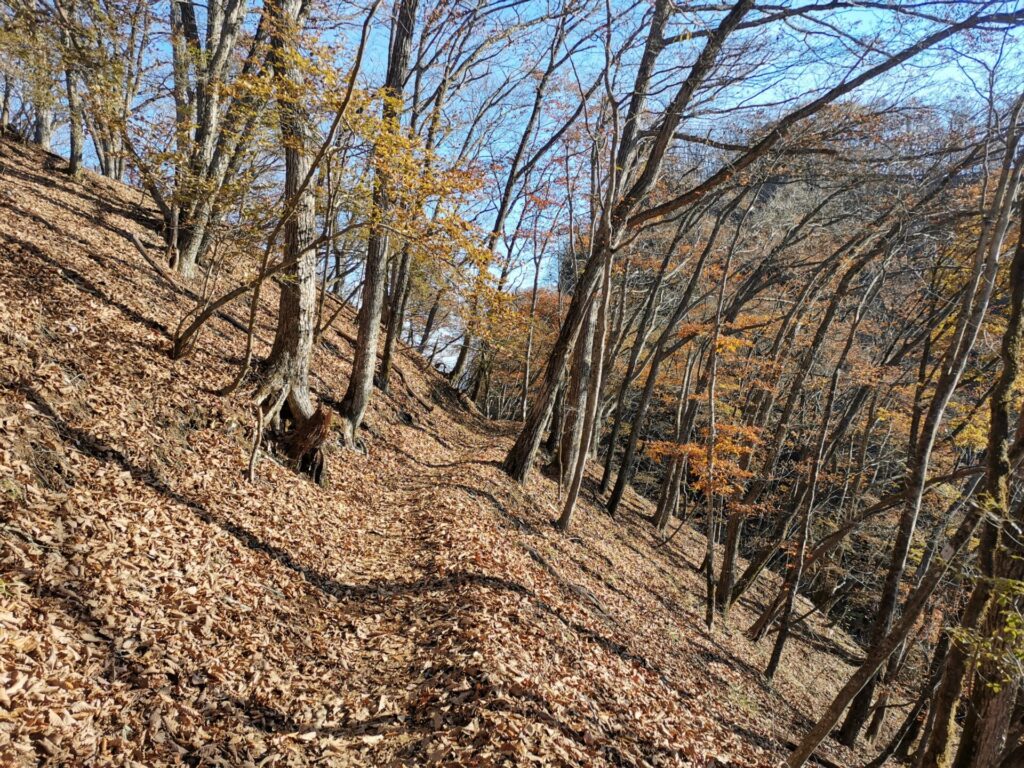 登山道