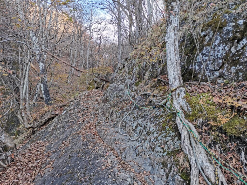 登山道 ロープ