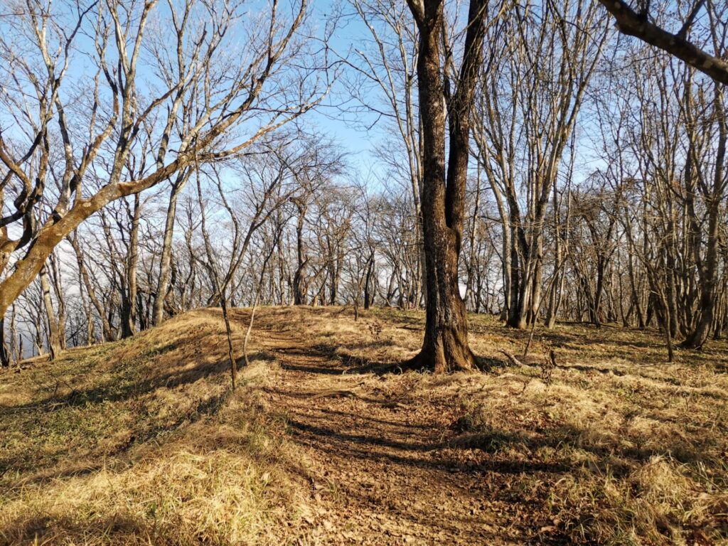 登山道