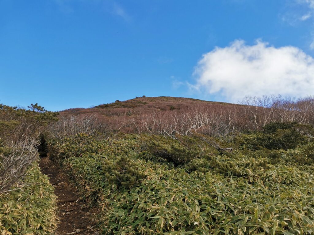 登山道