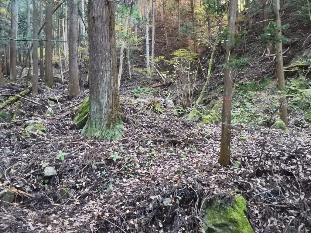 登山道