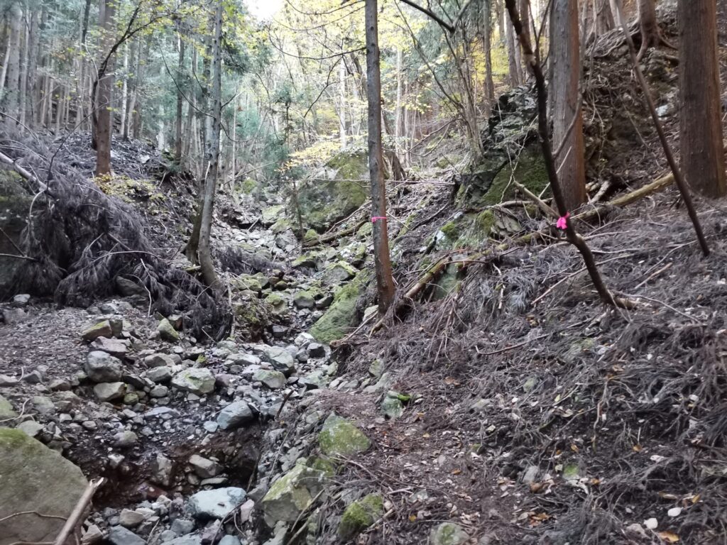 登山道