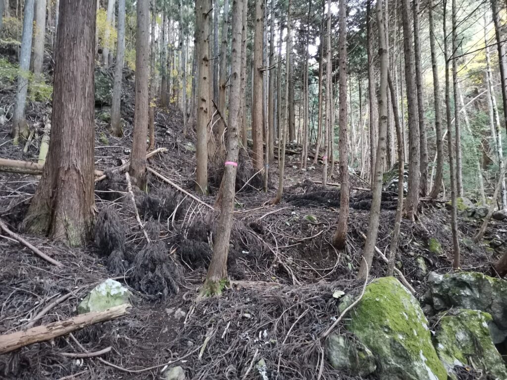 登山道