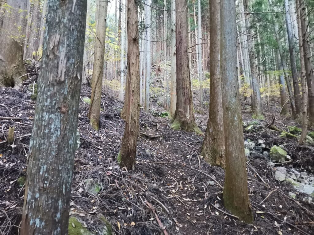 登山道