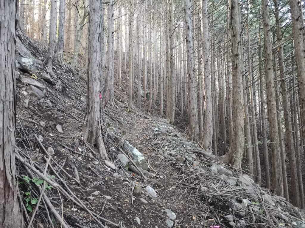 登山道