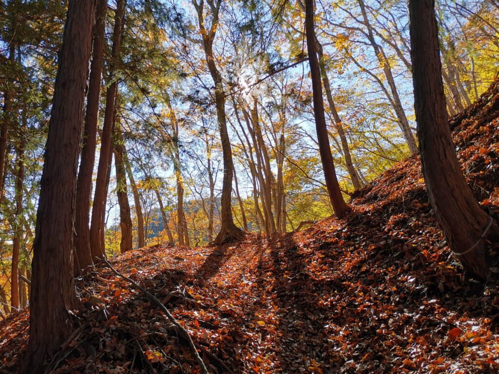 登山道