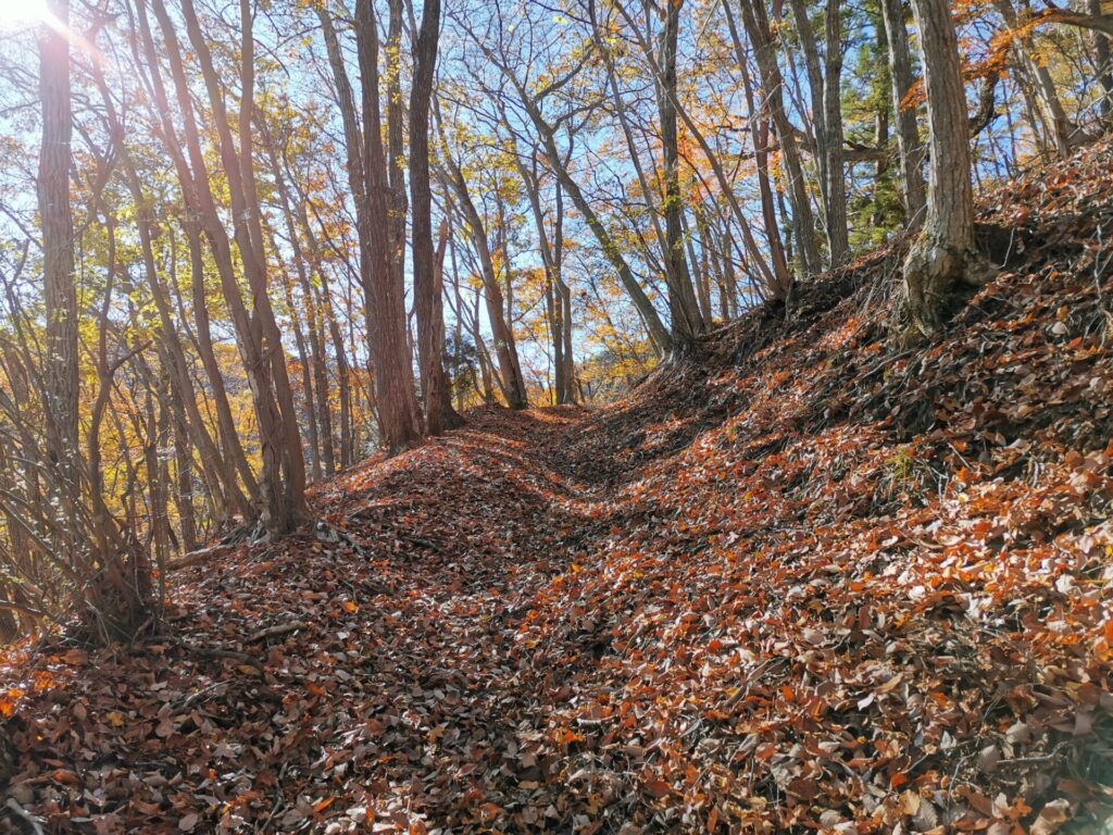 登山道 枯れ葉