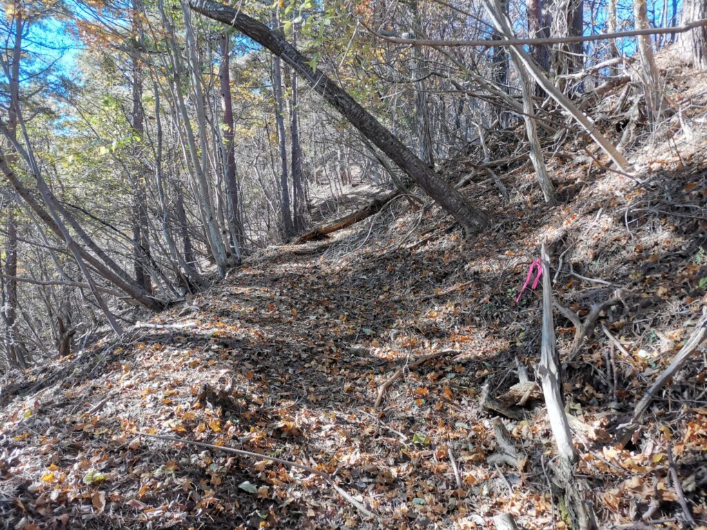 登山道