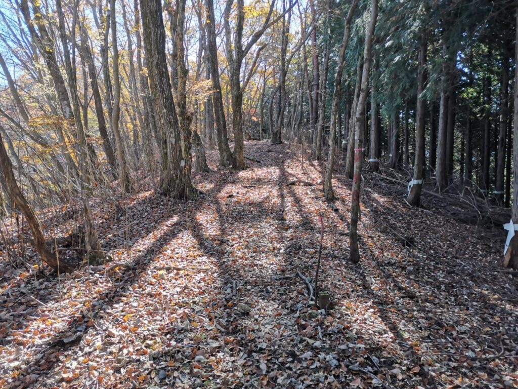 登山道