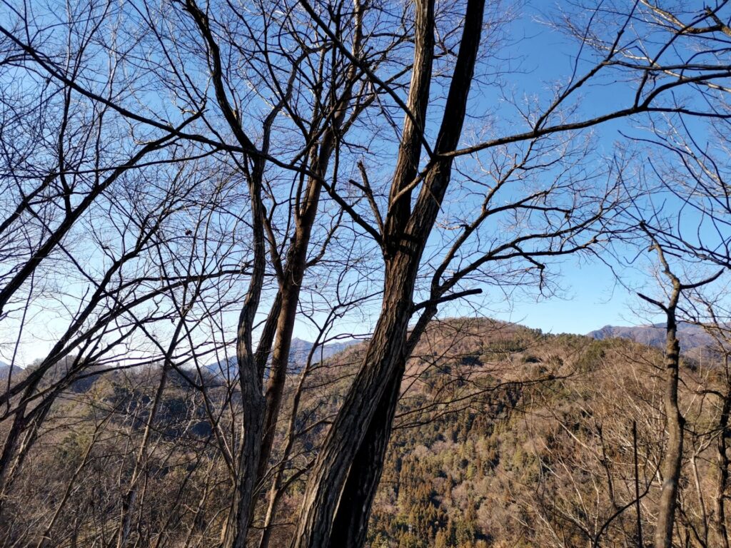 滝子山