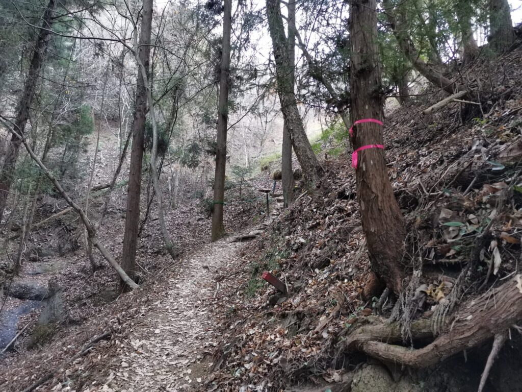 登山道