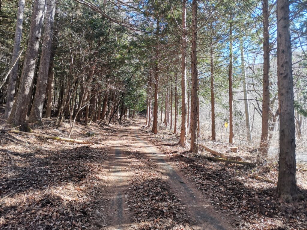 登山道