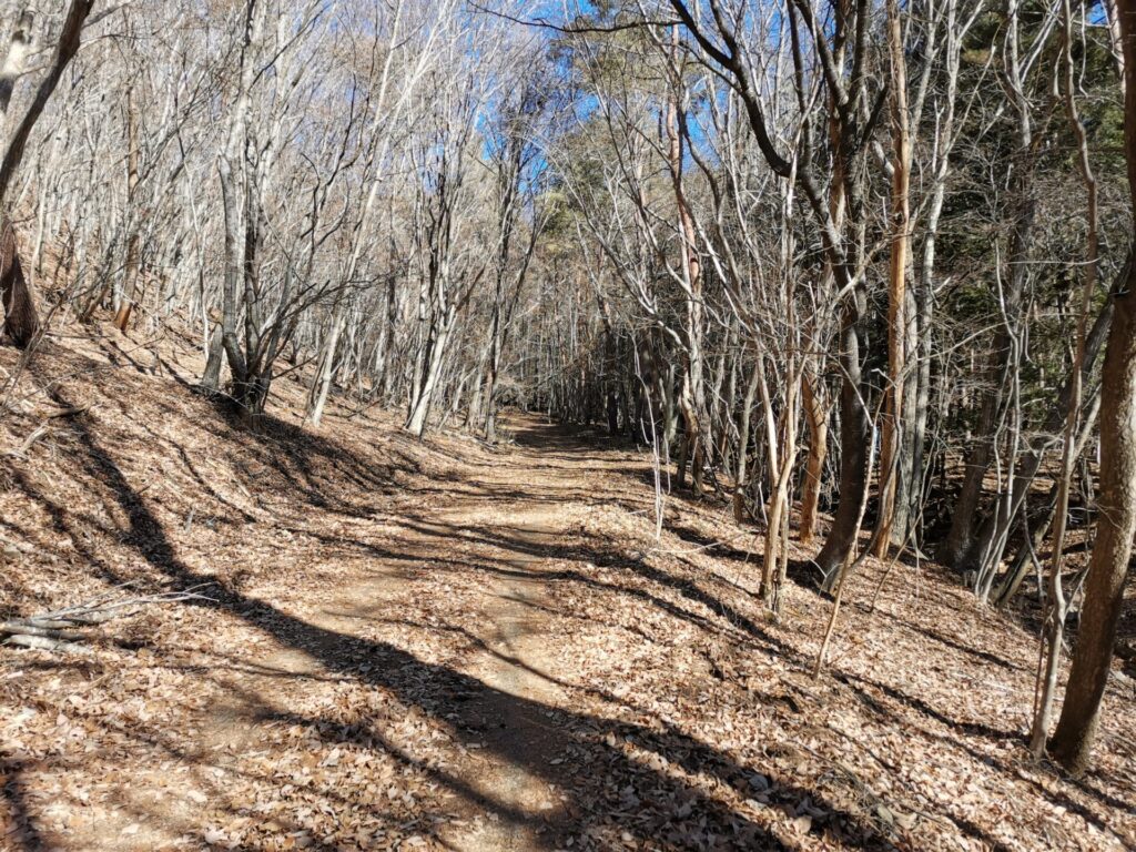 登山道