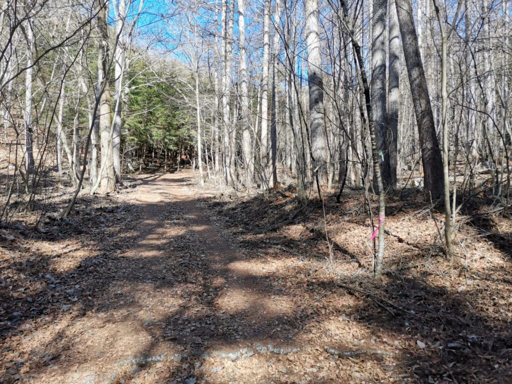 登山道 ピンクリボン