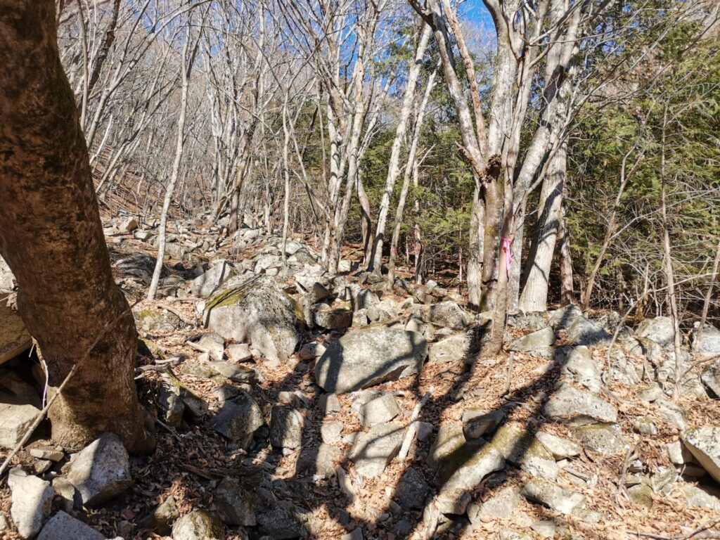 登山道 ピンクリボン