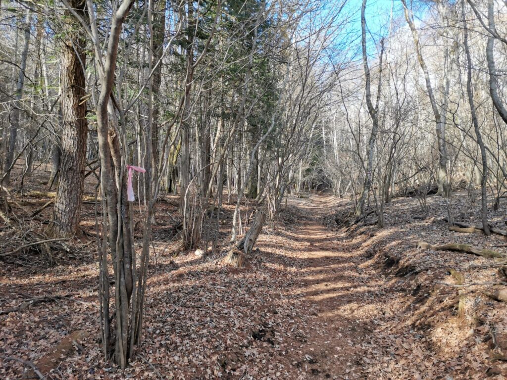 登山道