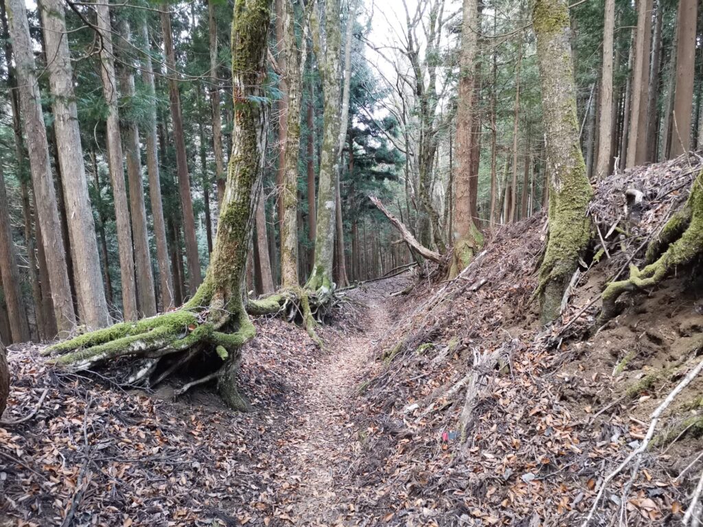 登山道