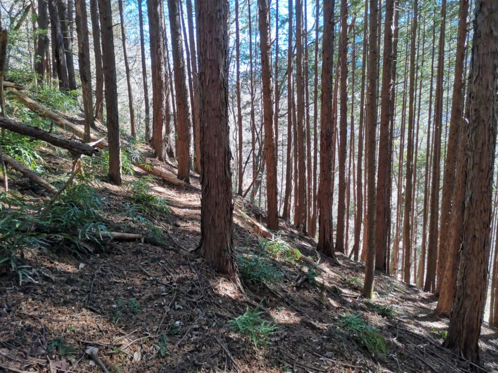 登山道