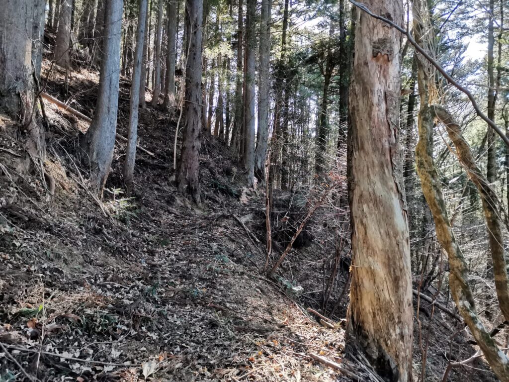 登山道