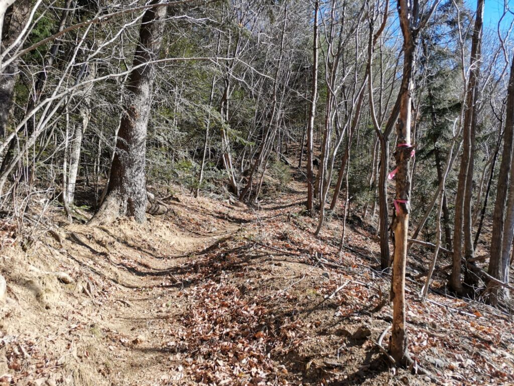 登山道