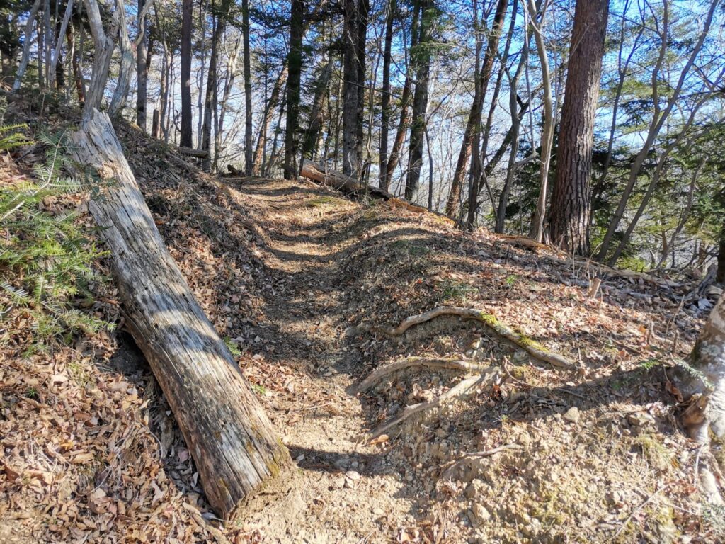 登山道