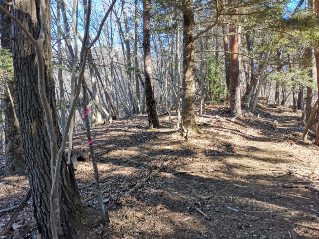 登山道