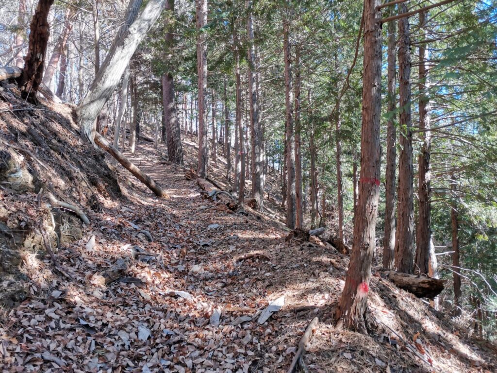 登山道