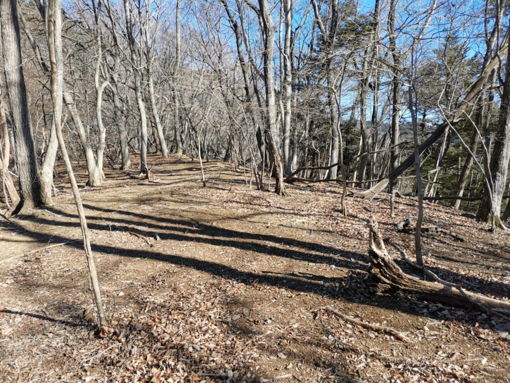 登山道