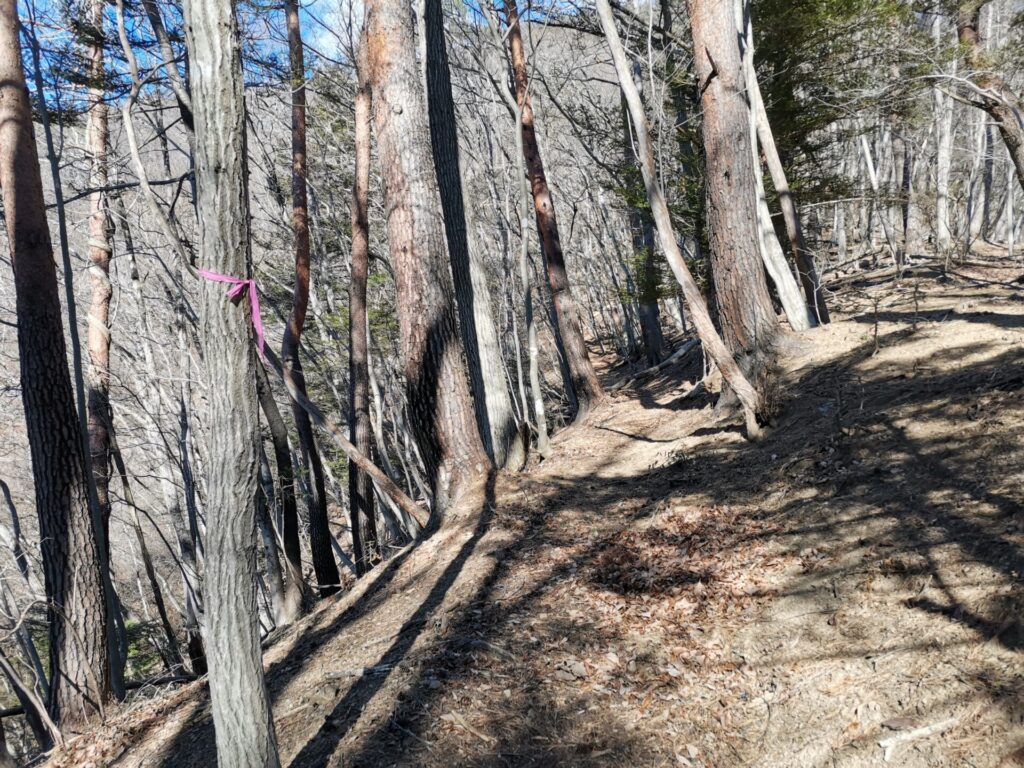 登山道