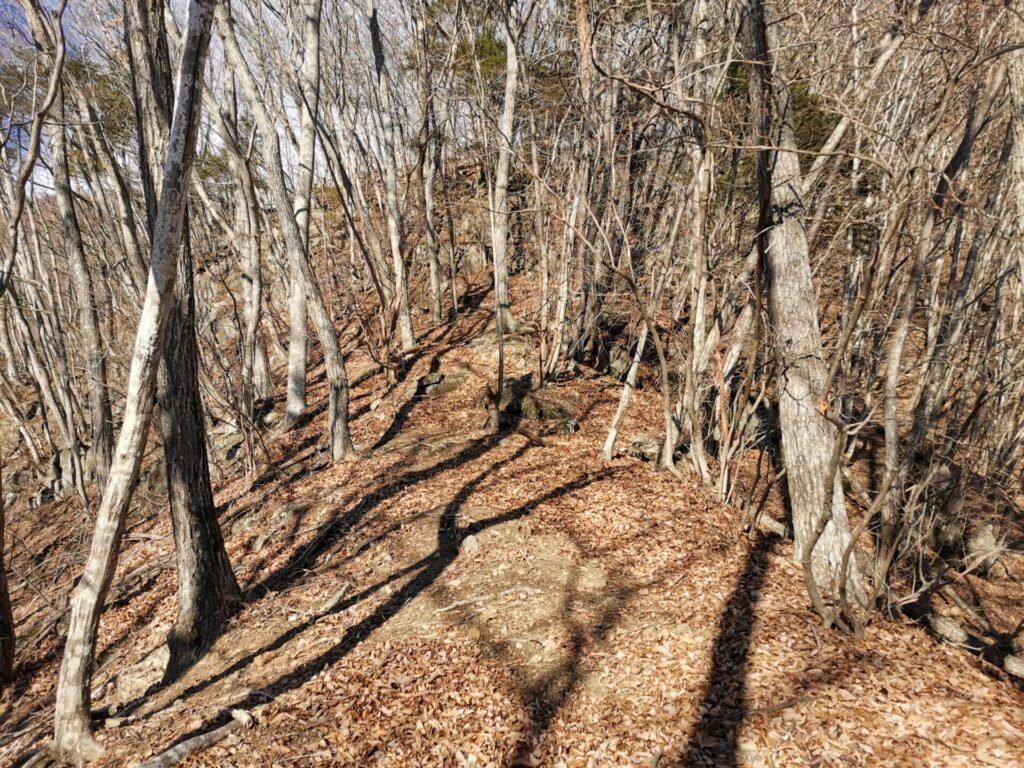 登山道