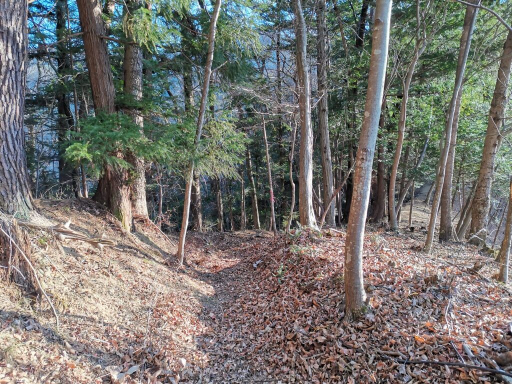 登山道