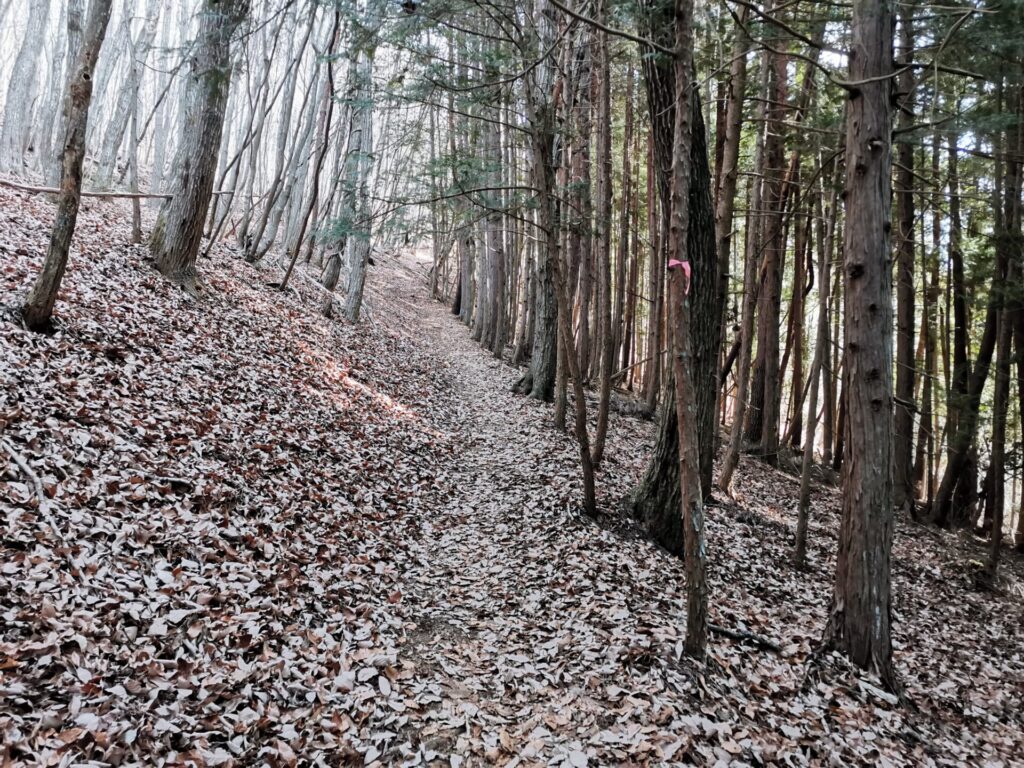 登山道