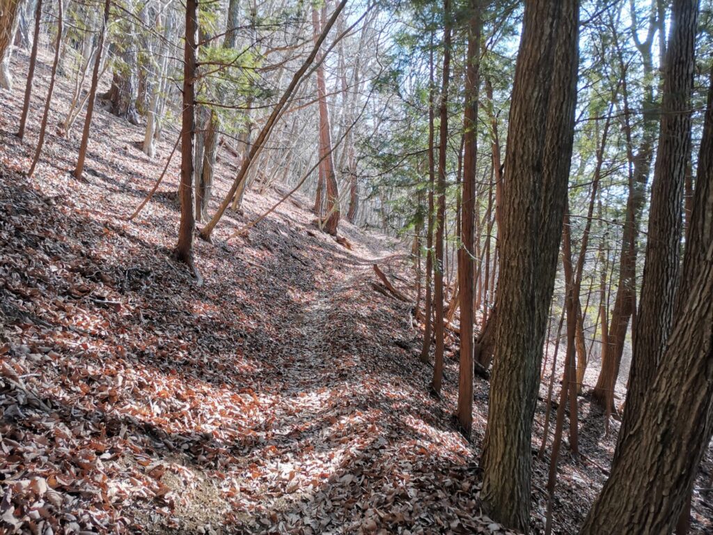 登山道