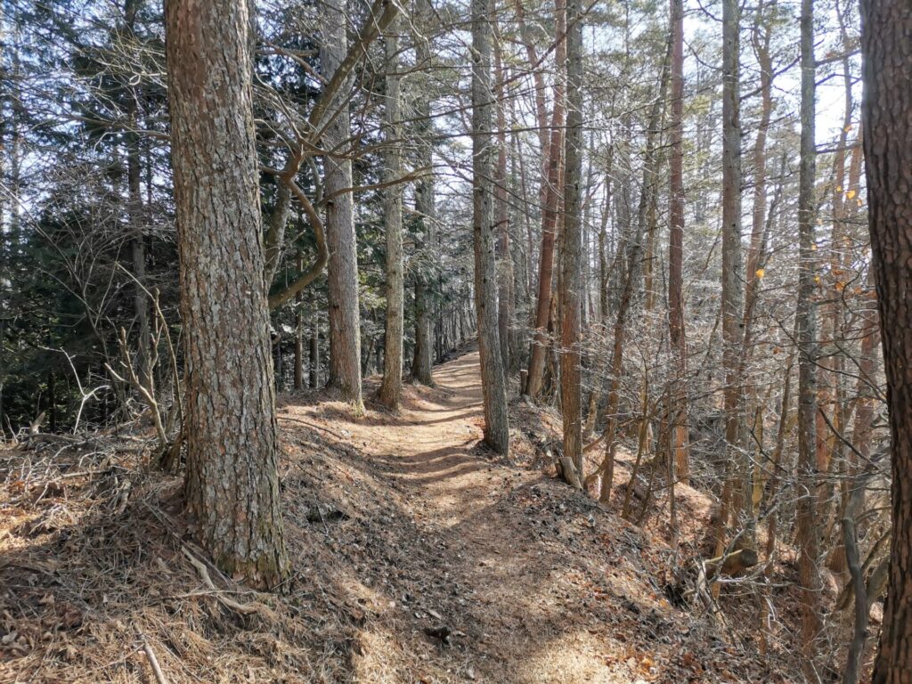 登山道