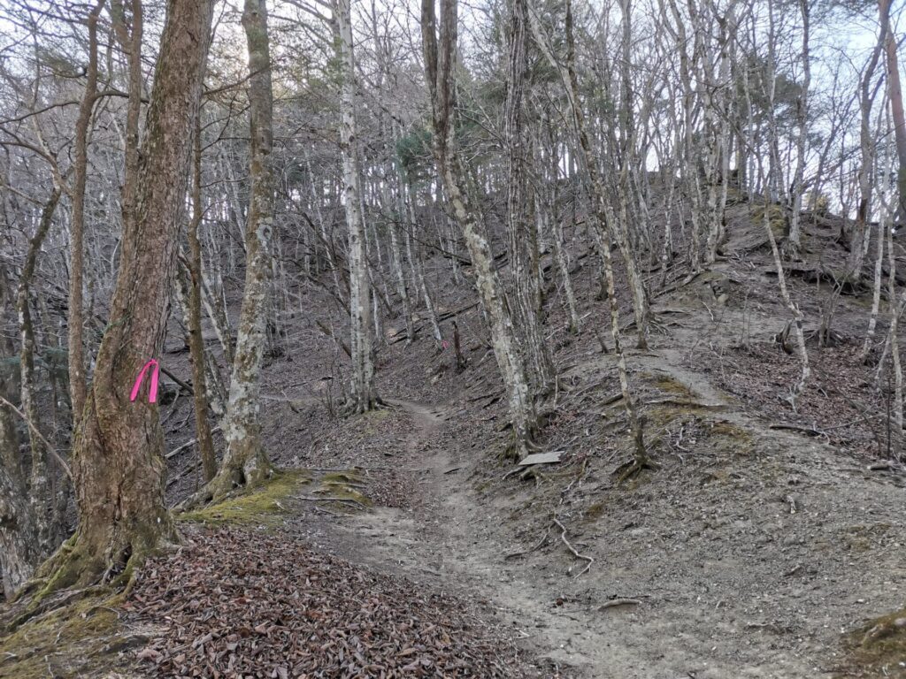 登山道