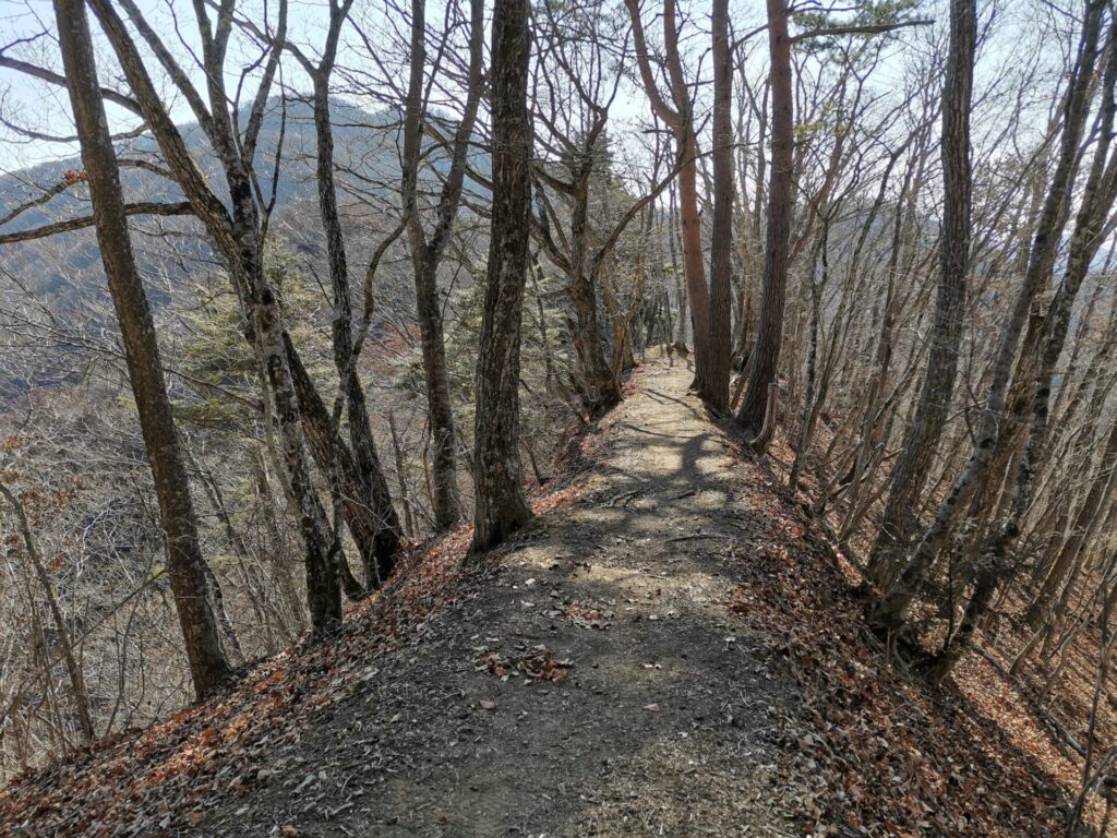 登山道