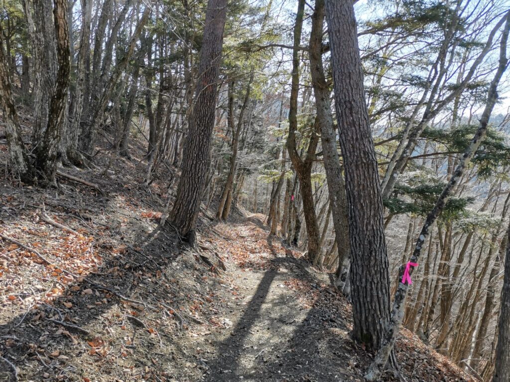 登山道