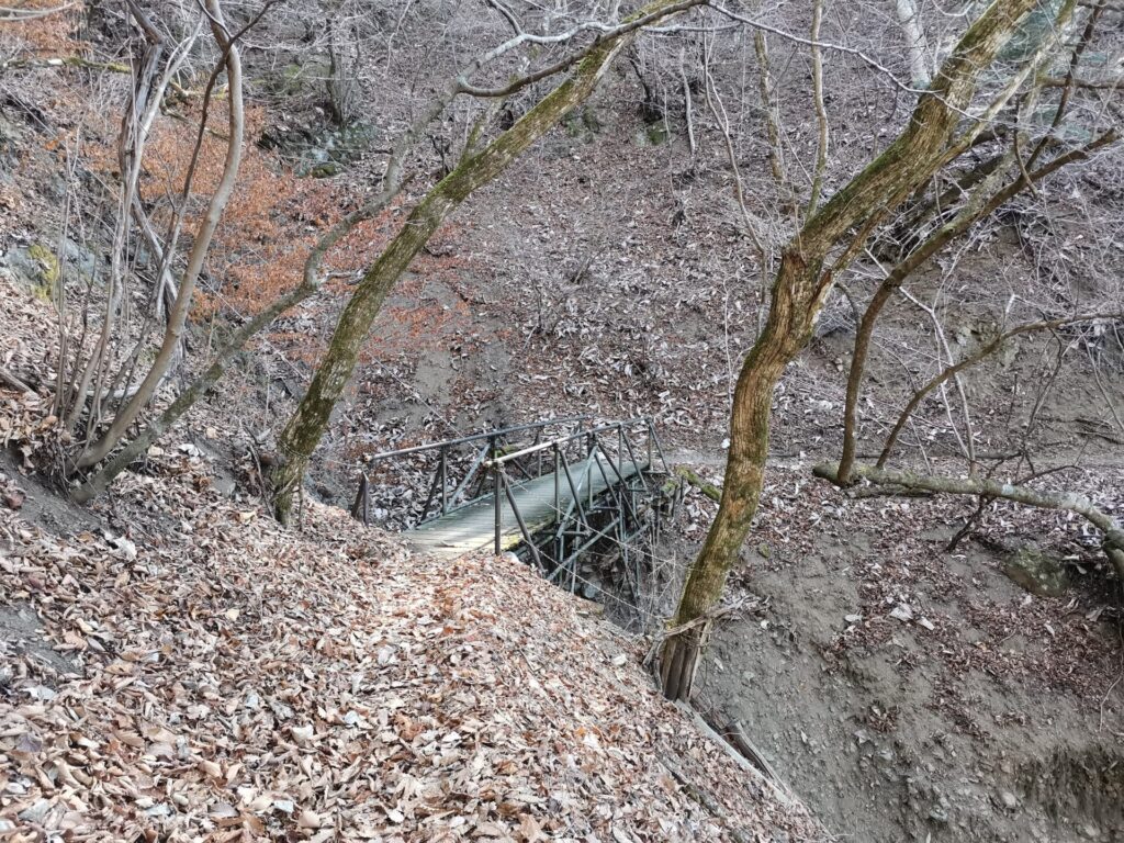 登山道 橋