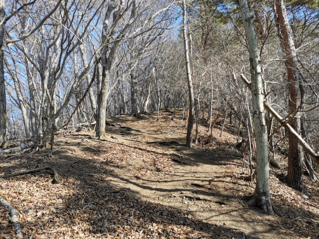 登山道