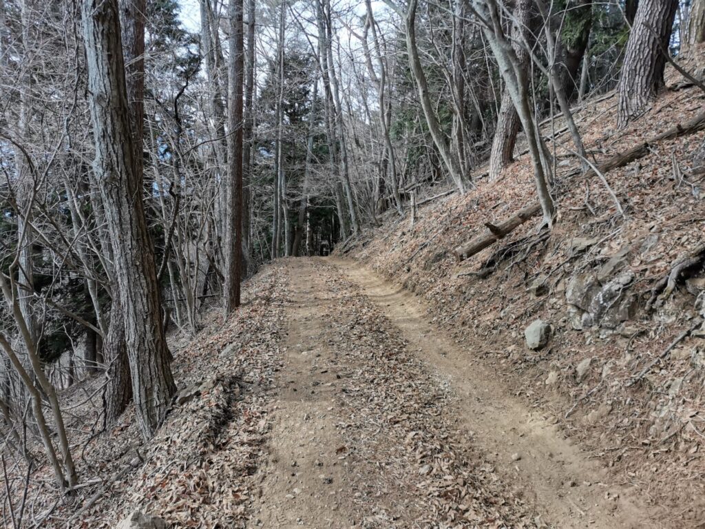 登山道