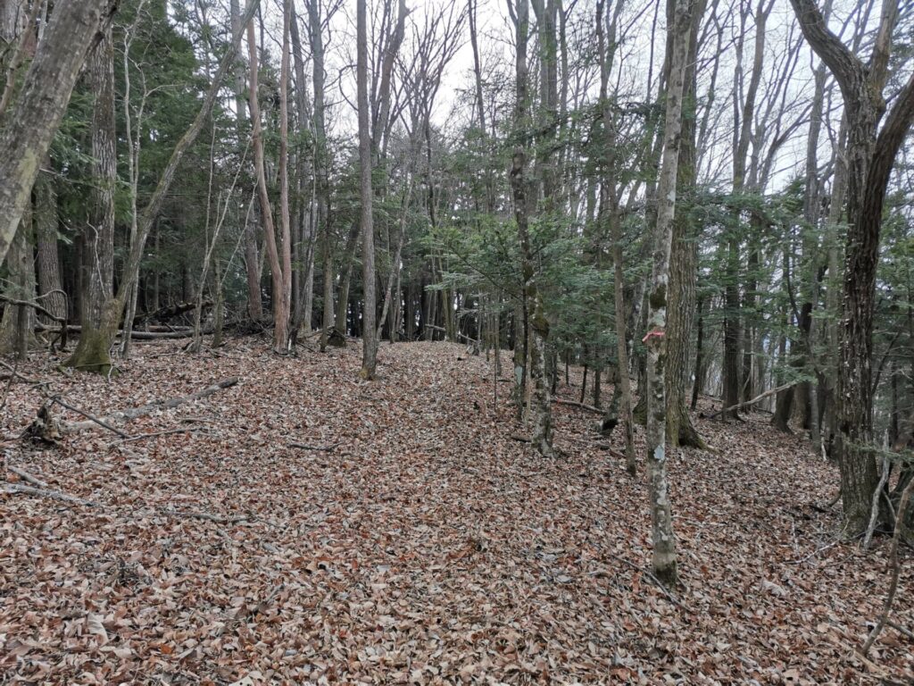 登山道