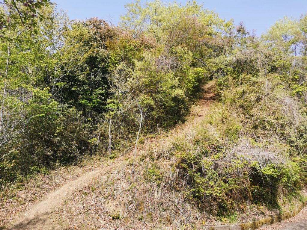 登山道