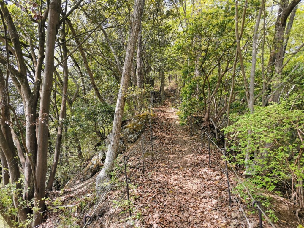 登山道