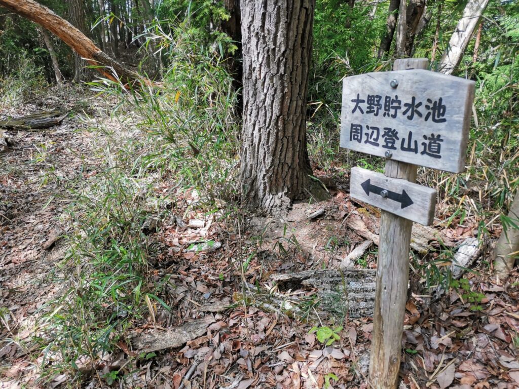 大野貯水池 周辺登山道