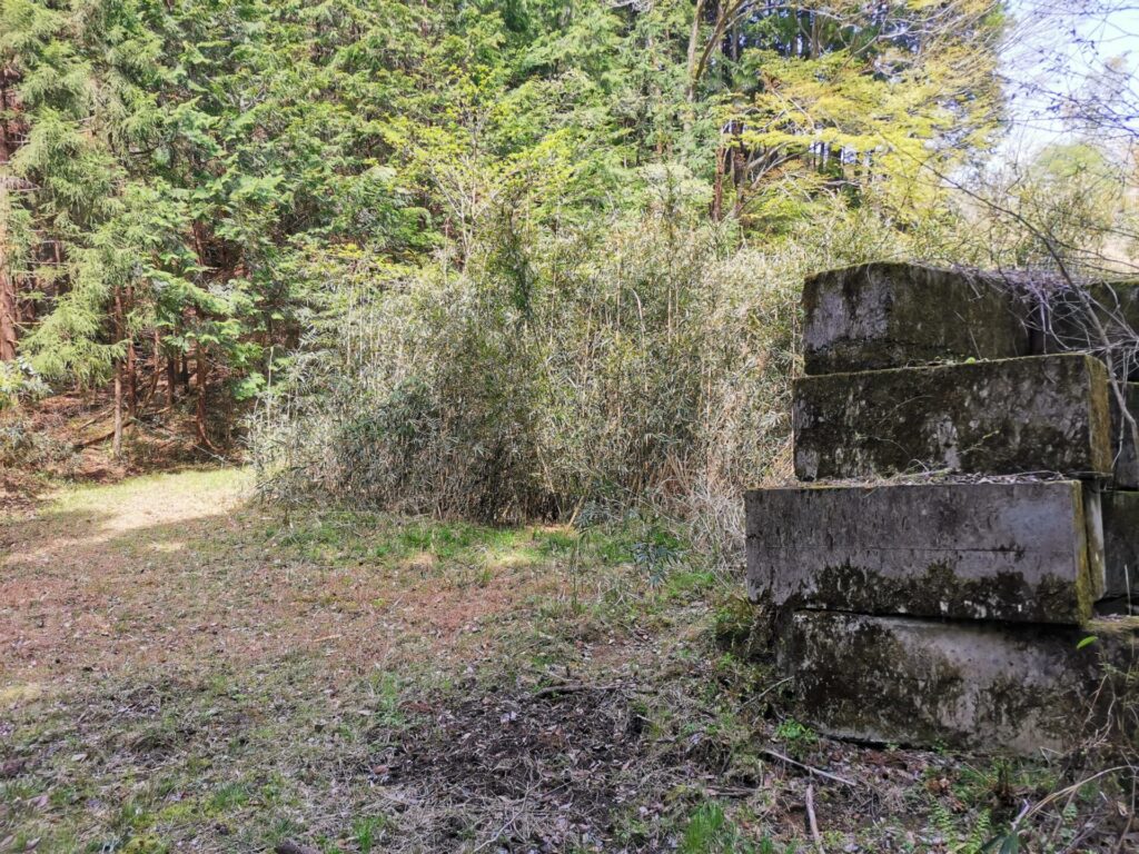 登山道