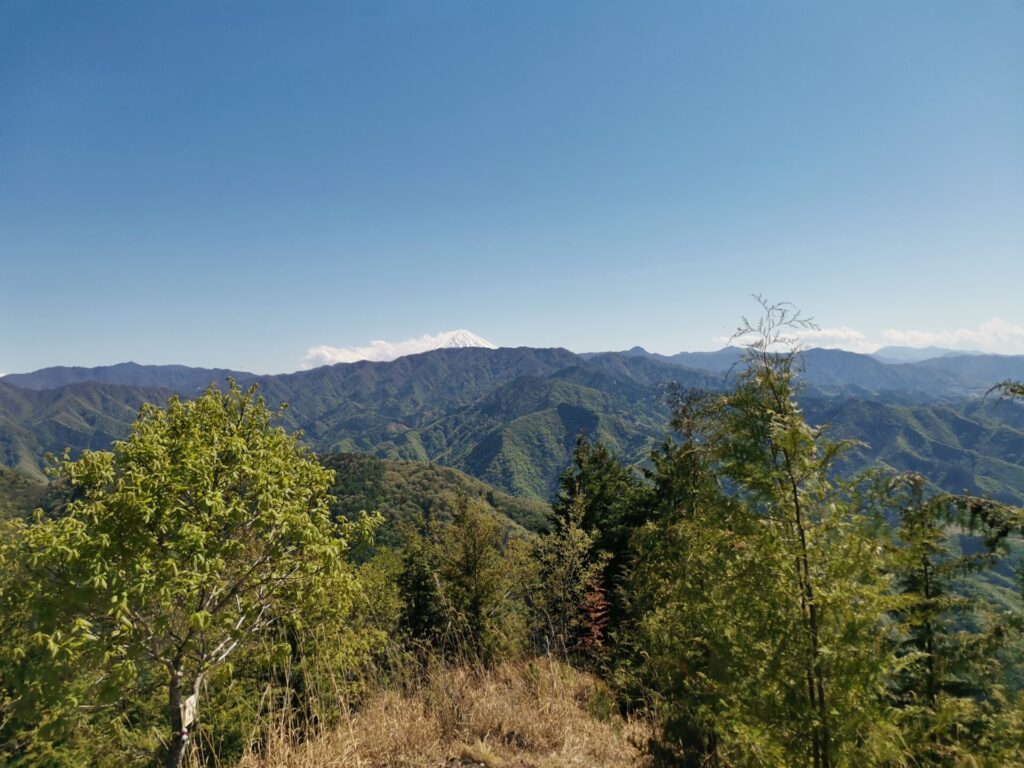 富士山