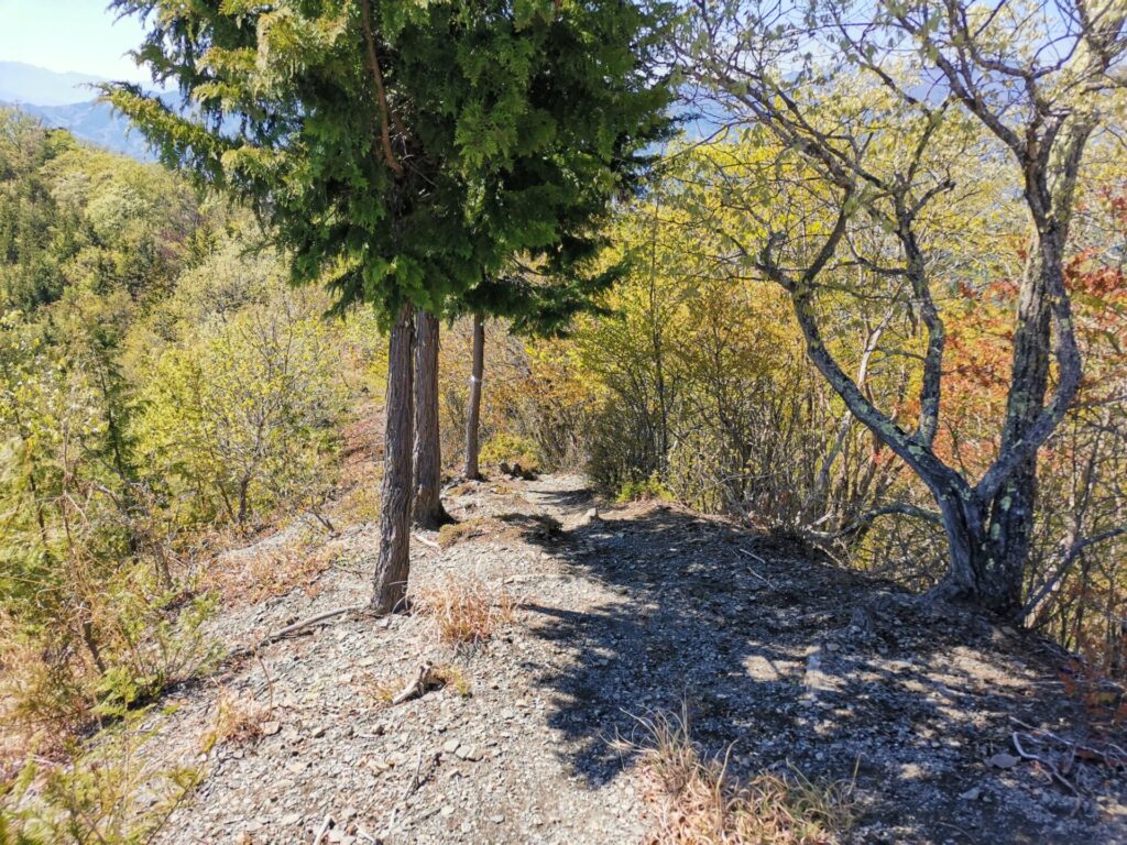 登山道