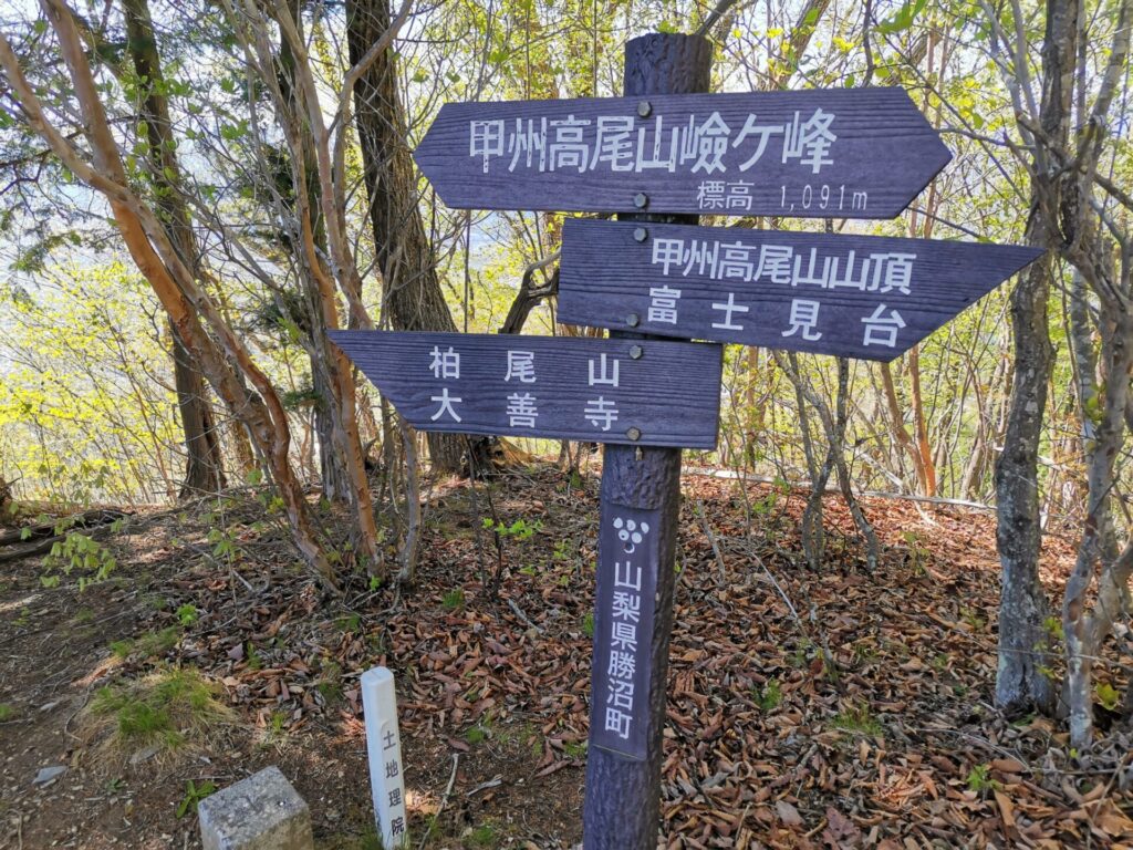 甲州高尾山嶮ケ峰