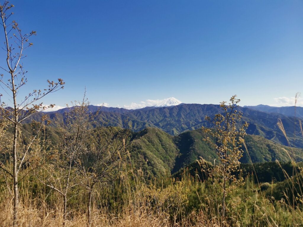 富士見台